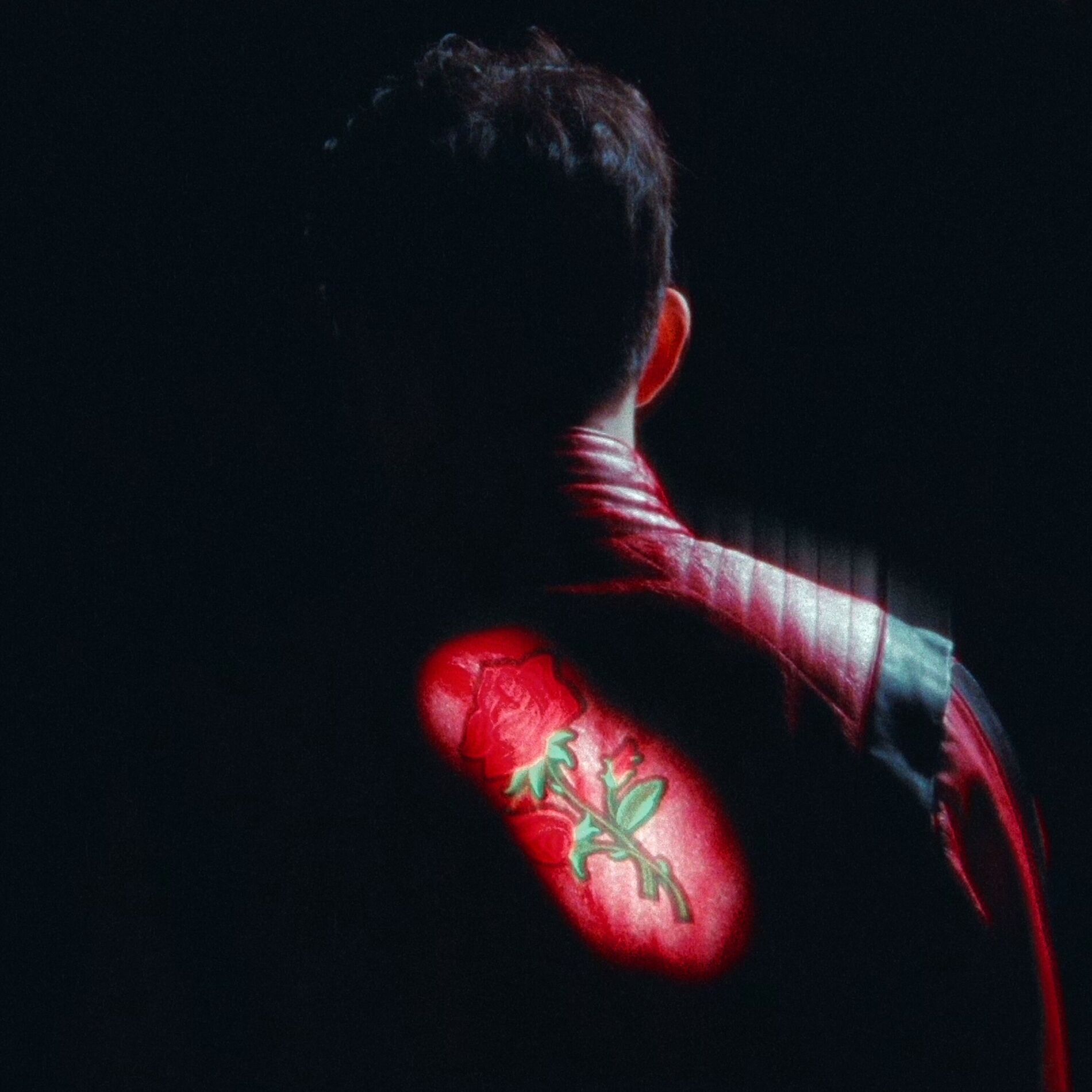 Album cover of Undressed