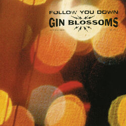 Cover of Follow You Down