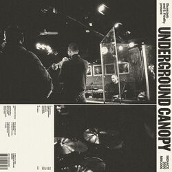 Cover of Bluestaeb and S. Fidelity Present Underground Canopy