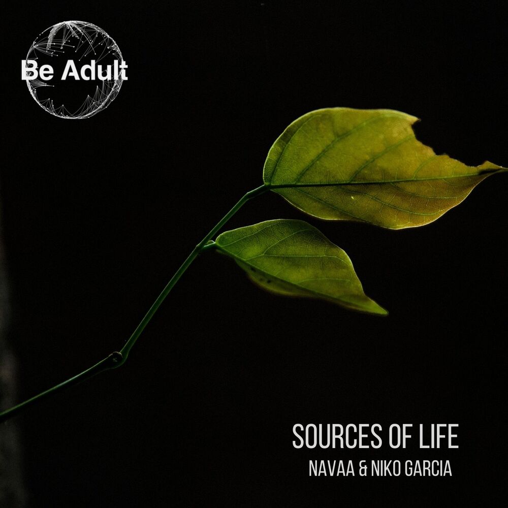Picture of Source of Life