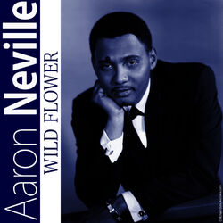Cover of Wild Flower