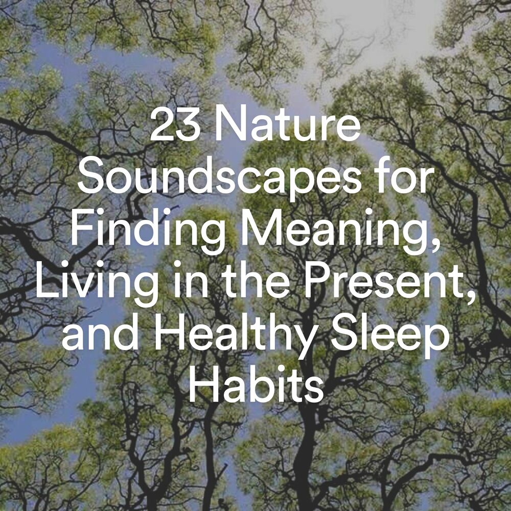Picture of 23 Nature Soundscapes for Finding Meaning, Living in the Present, and Healthy Sleep Habits