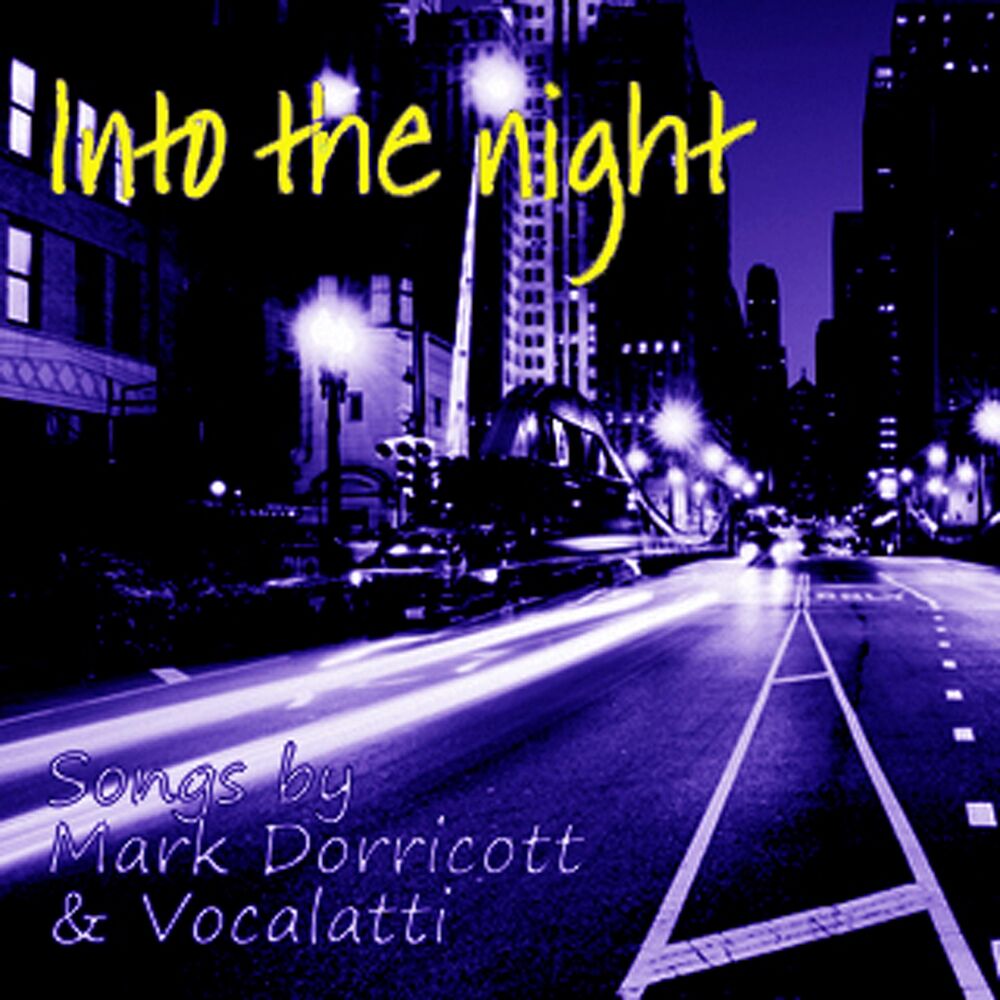 Picture of Into the Night