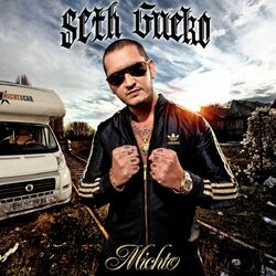Cover of Michto