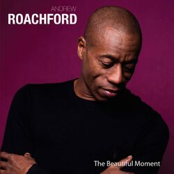 Cover of The Beautiful Moment