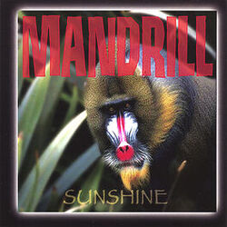 Cover of Sunshine