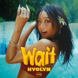 Cover of Wait