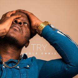Cover of Try