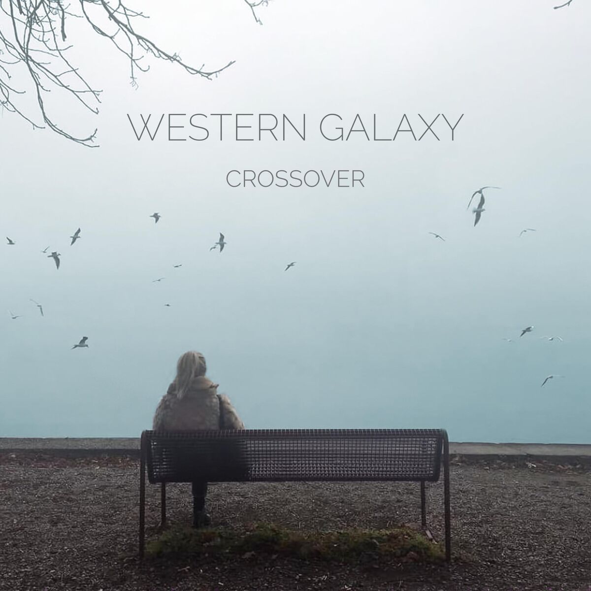 Album cover of Crossover
