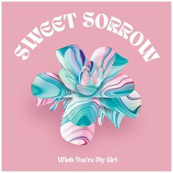 Cover of Wish You′re My Girl