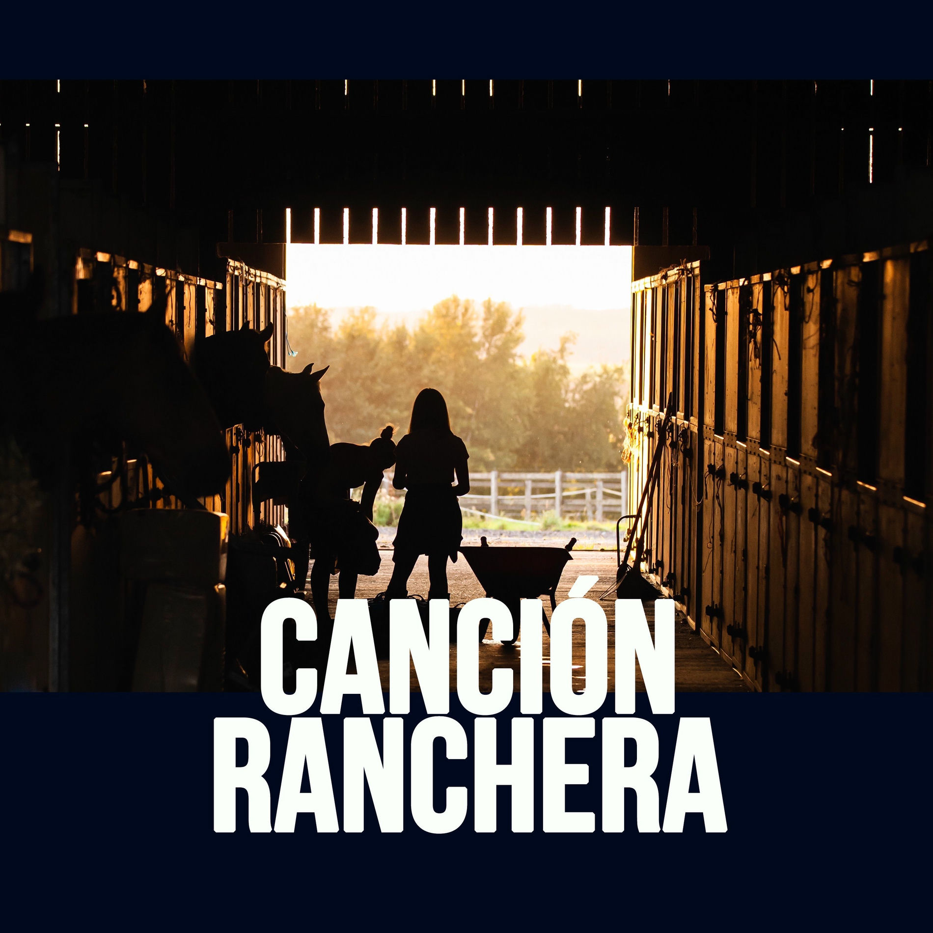 Album cover of Ídolos de la Canción Ranchera, Vol.1
