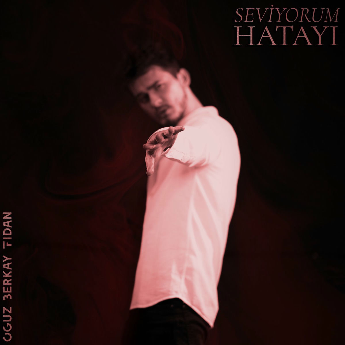Album cover of Seviyorum Hatayı