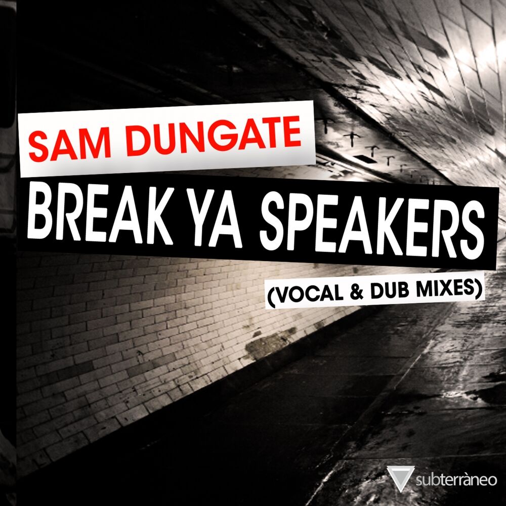 Picture of Break Ya Speakers