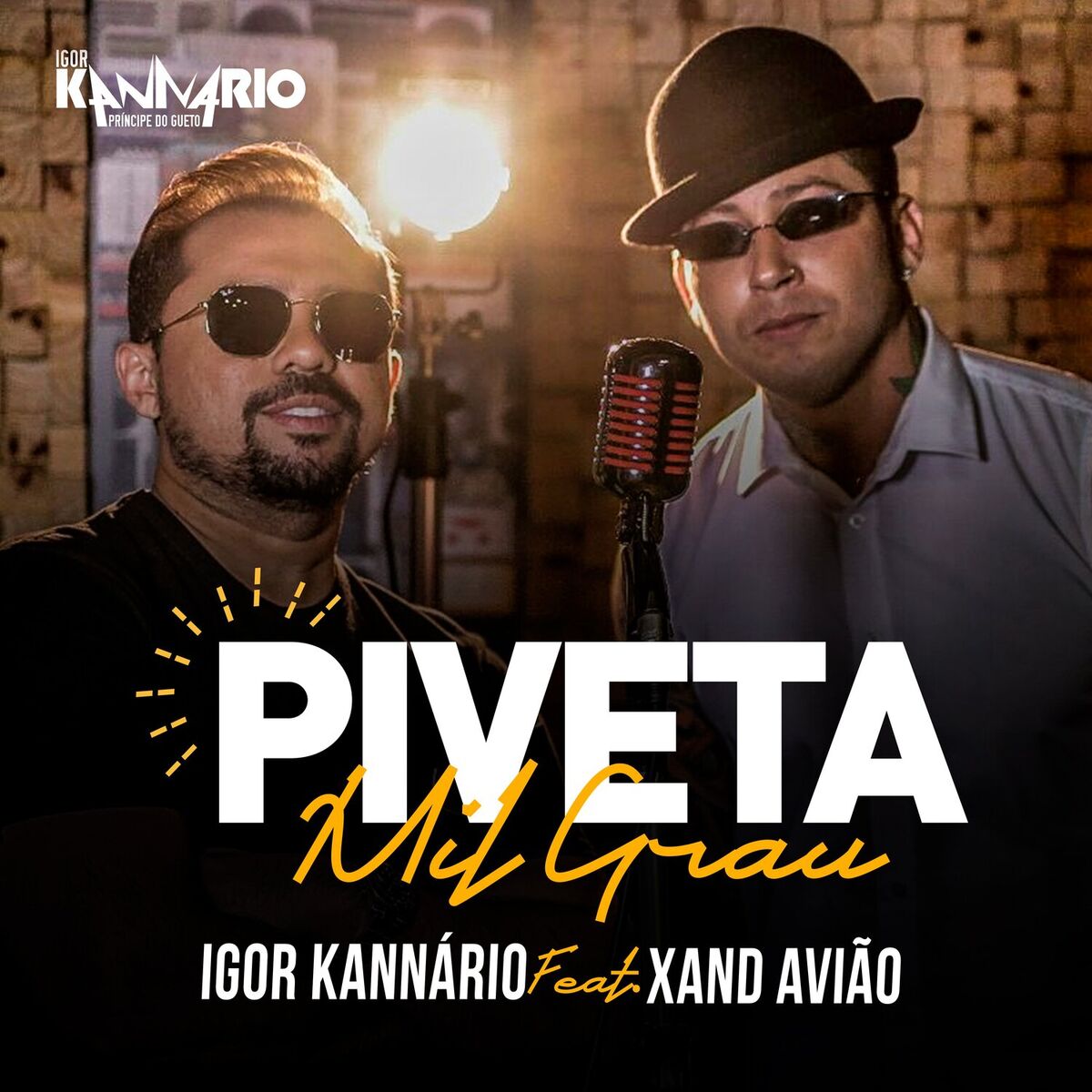 Album cover of Piveta Mil Grau