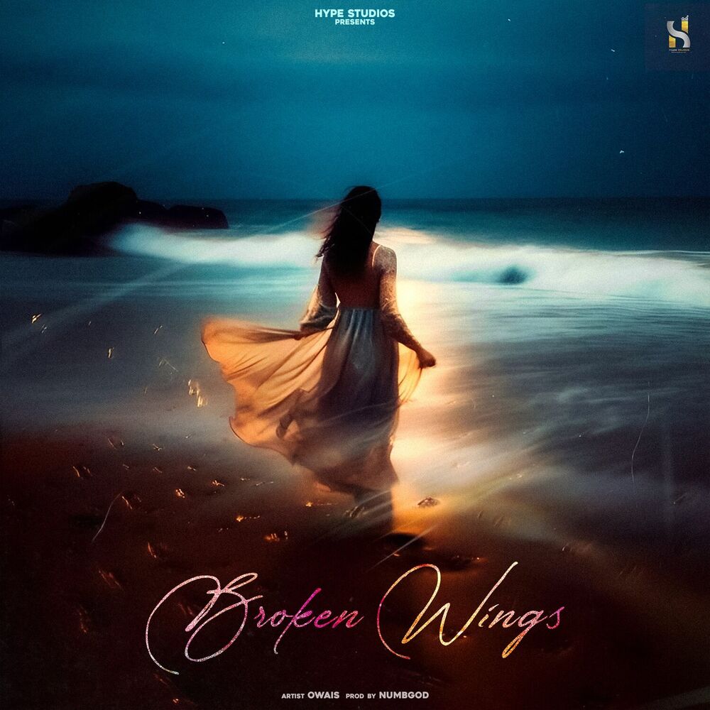 Picture of Broken Wings