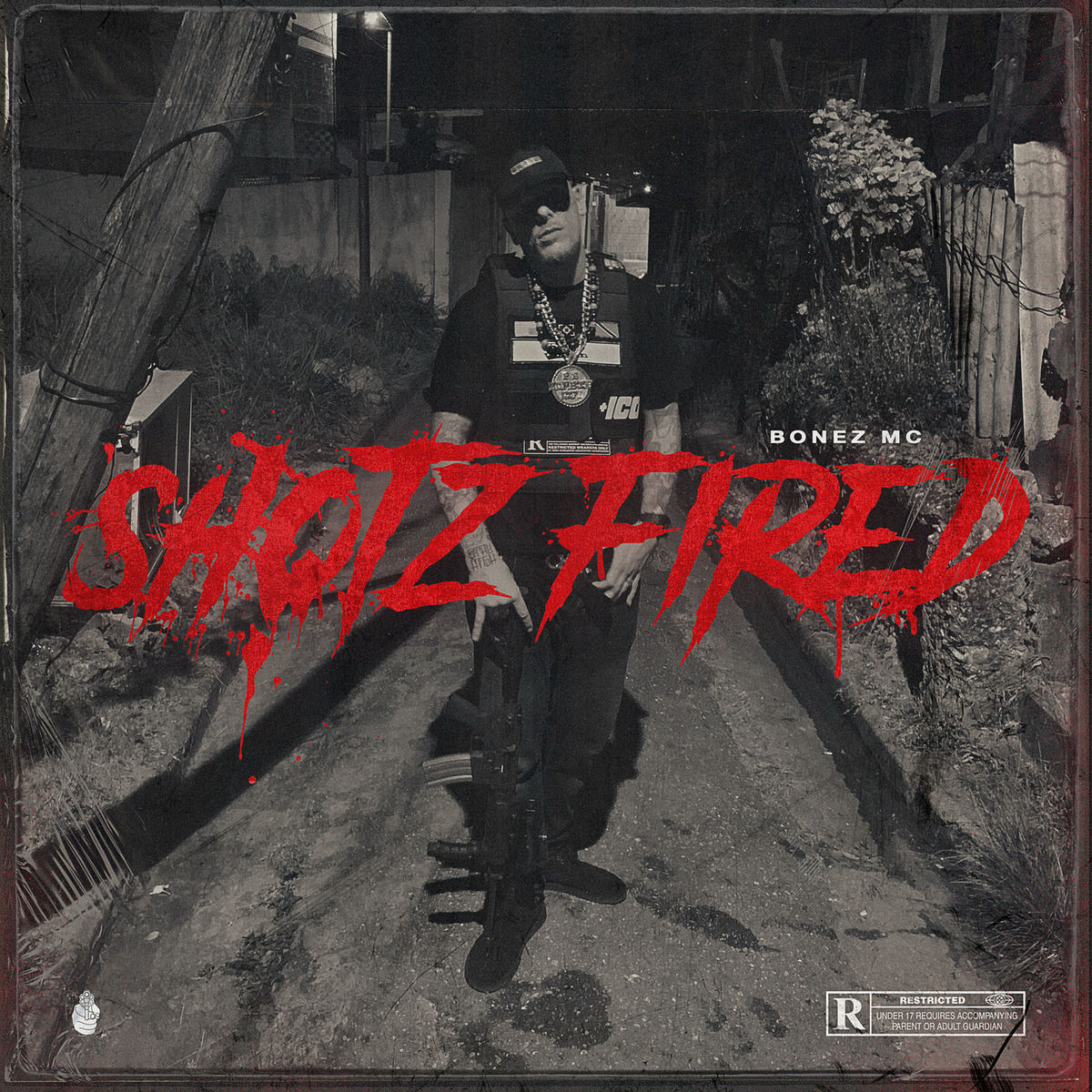 Album picture of Shotz Fired