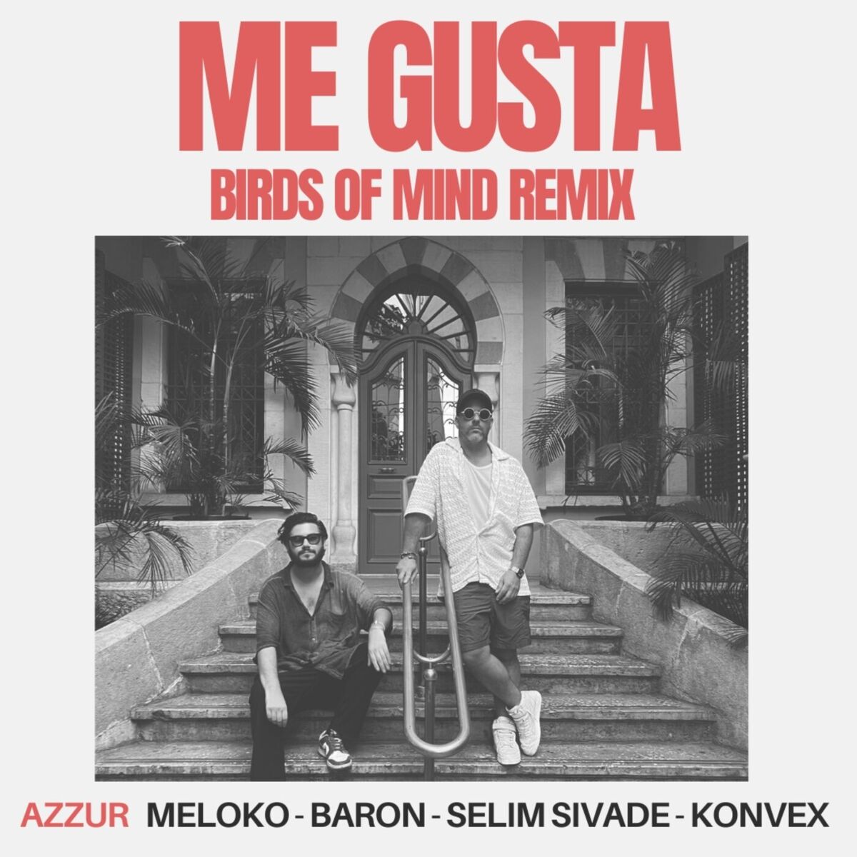 Album cover of Me Gusta (Birds Of Mind Remix)