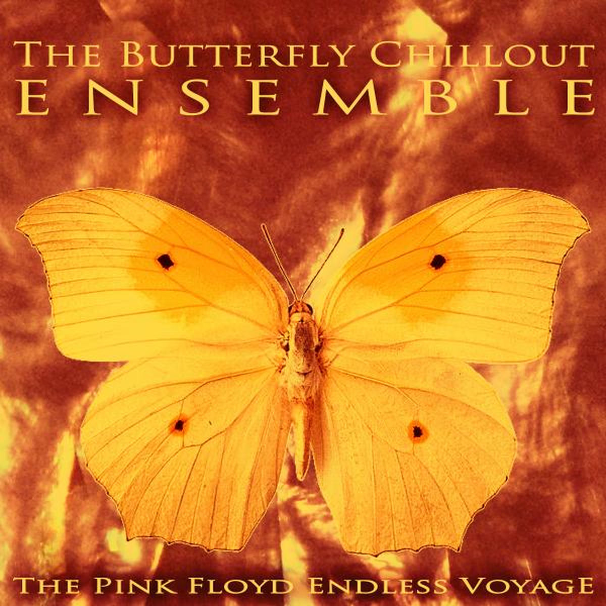 Album cover of The Pink Floyd Endless Voyage