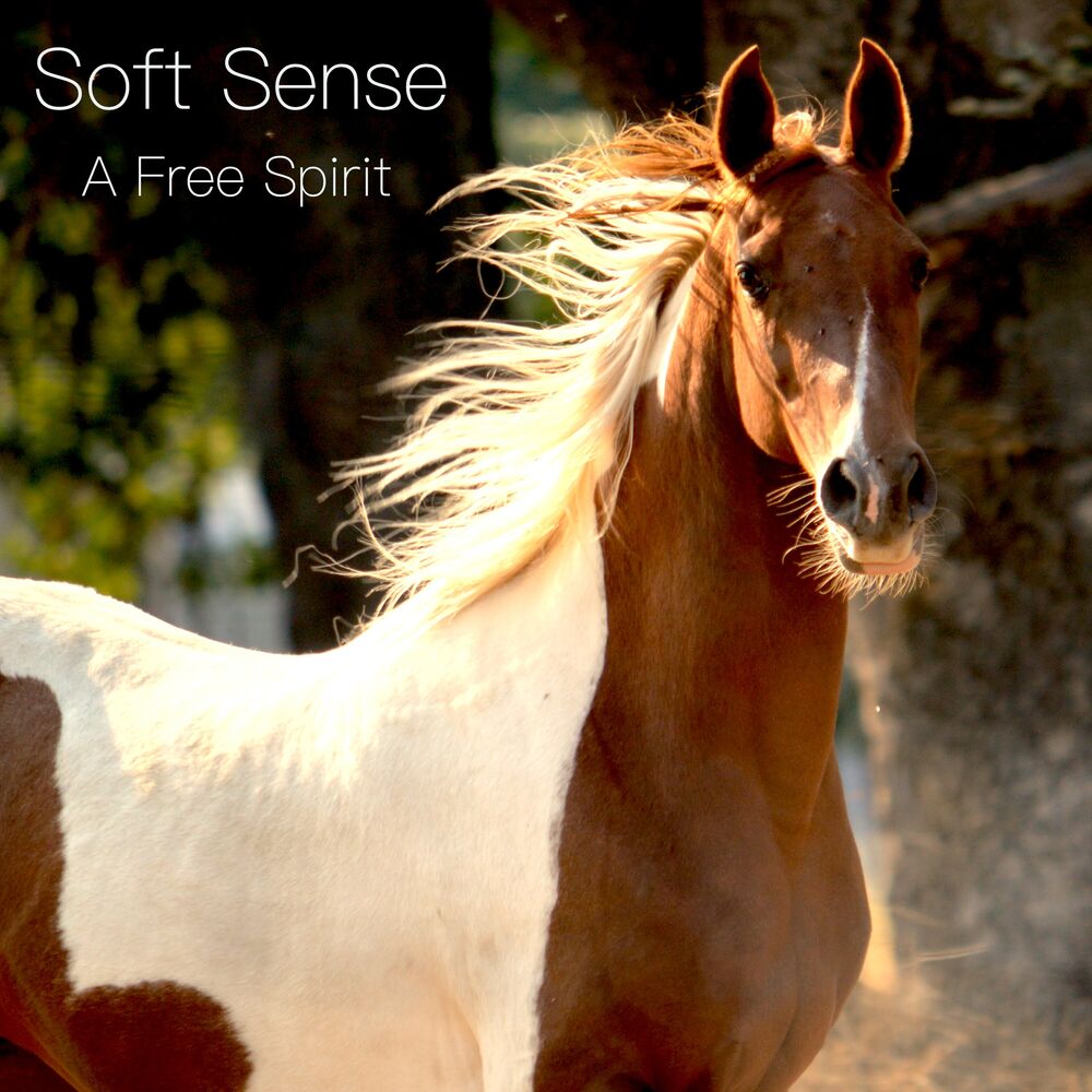 Picture of A Free Spirit