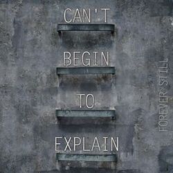 Cover of Can't Begin To Explain