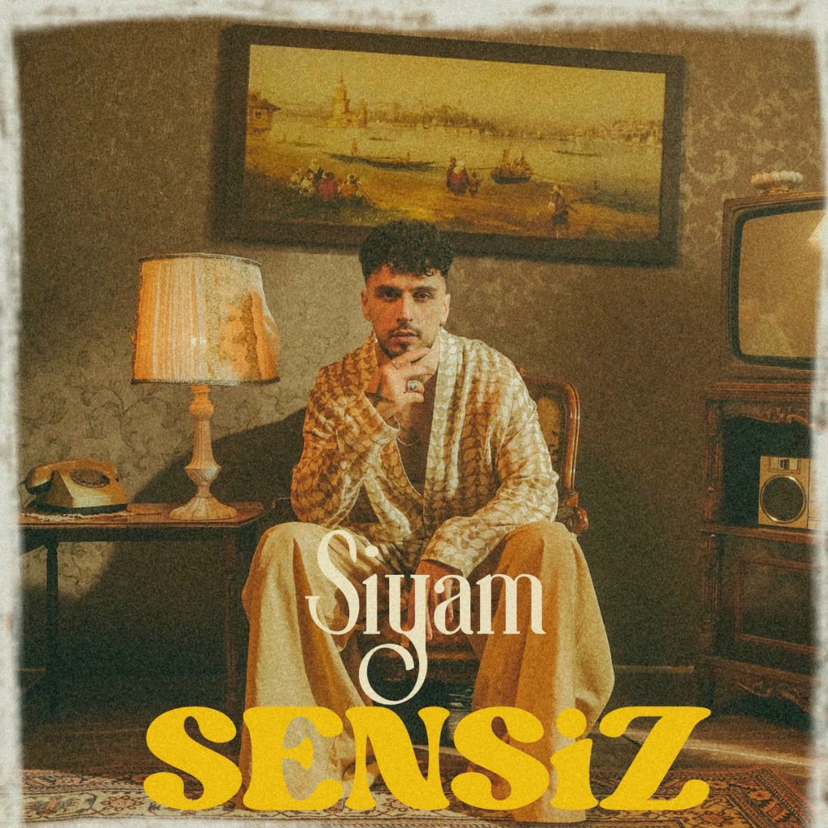 Album cover of Sensiz