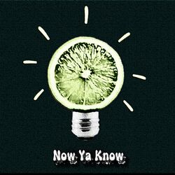 Cover of Now Ya Know