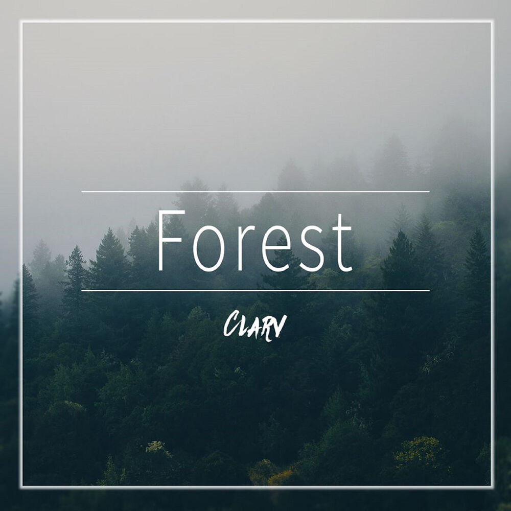 Picture of Forest