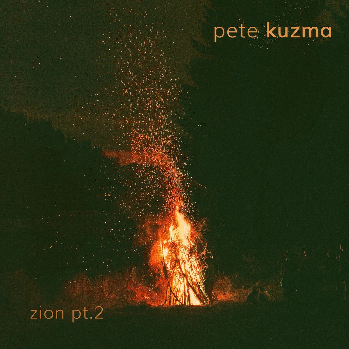 Album cover of Zion, Pt. 2
