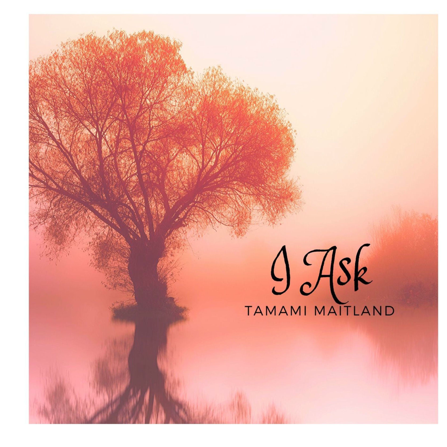 Album cover of I Ask