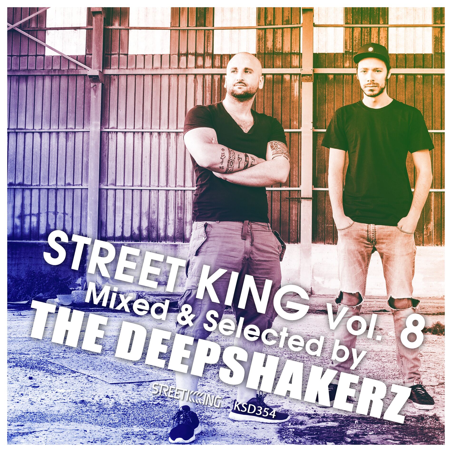 Album cover of Street King, Vol. 8 (DJ Mix)