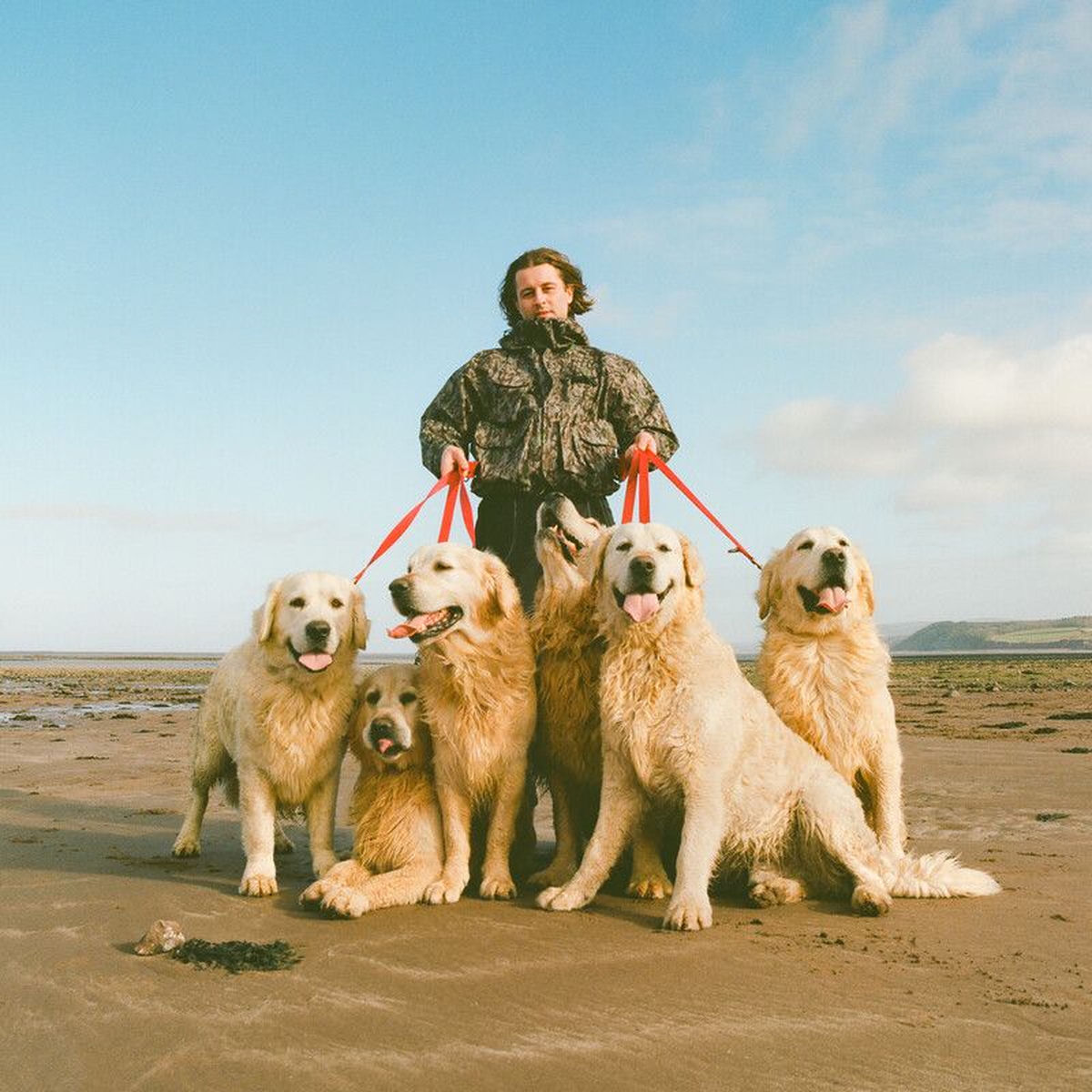 How The Dogs Chill, Vol.1 - Mall Grab | Deezer