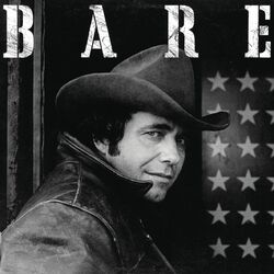 Cover of Bare