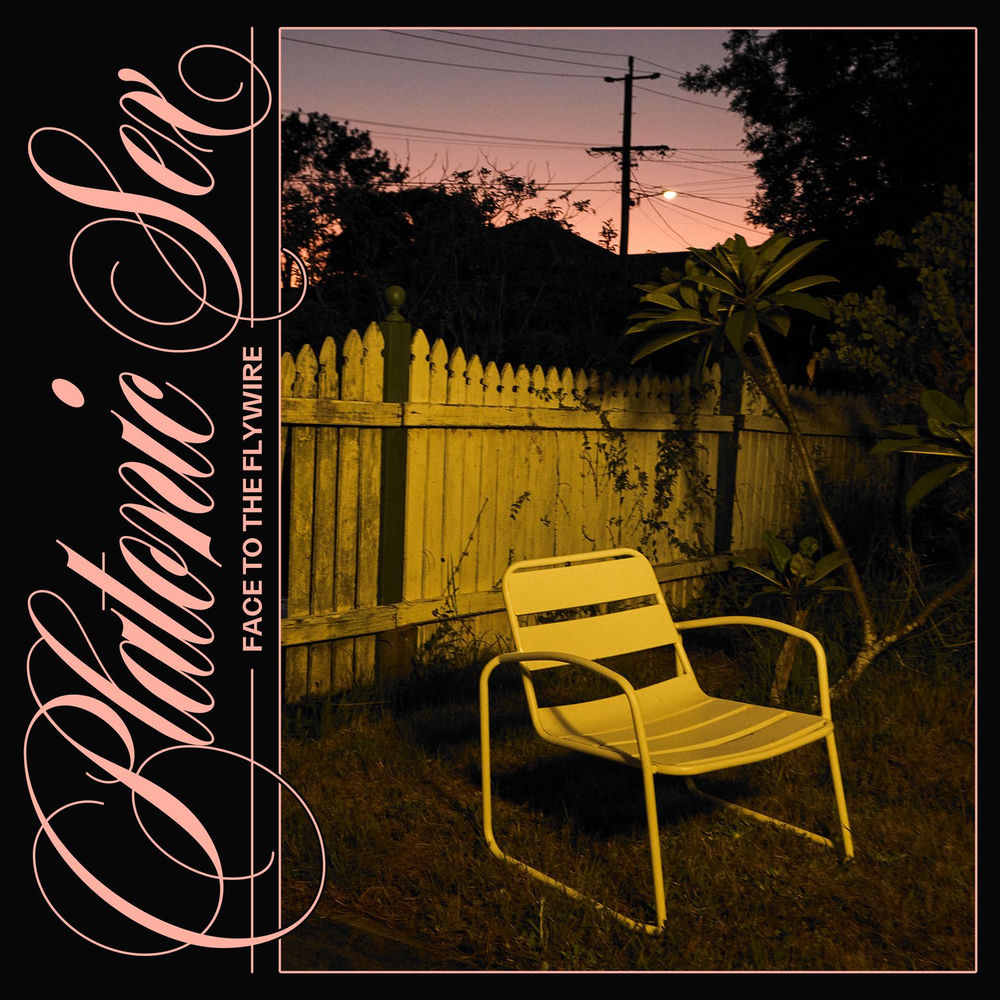 Album artwork for Face To The Flywire by Platonic Sex