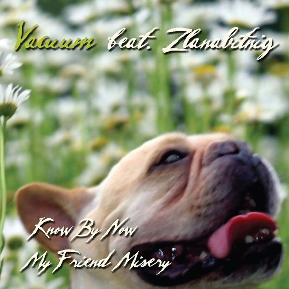 Album artwork for Know by Now by Vacuum