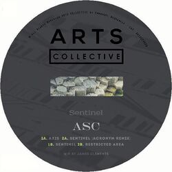Cover of Sentinel
