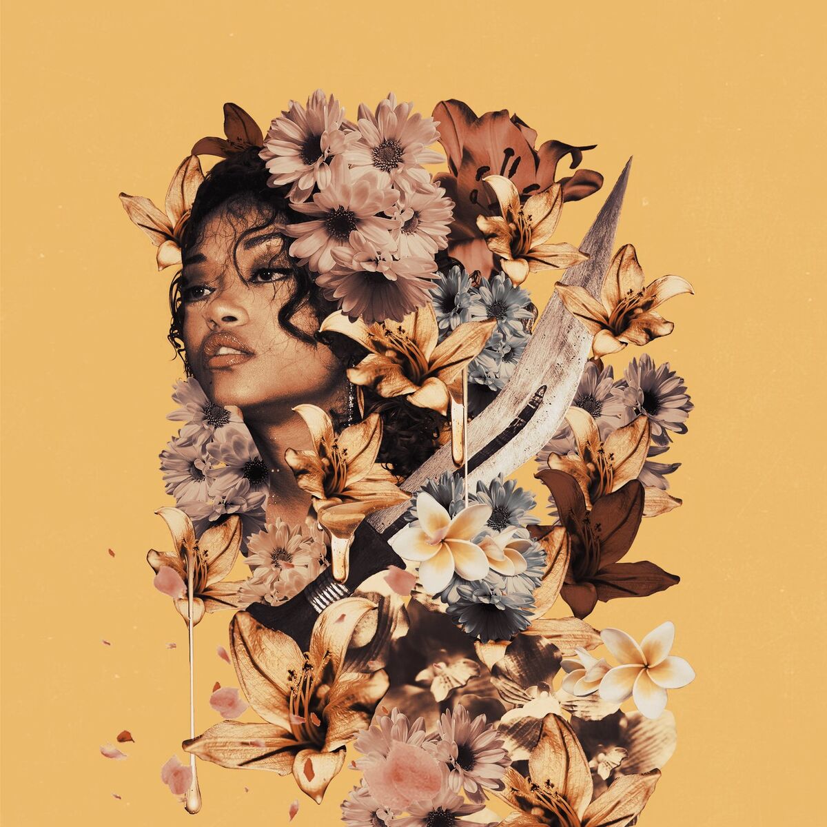 Album cover of Love Me, Love Me Not