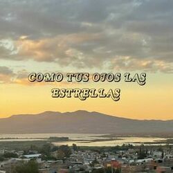 Cover of Como tus ojos las estrellas