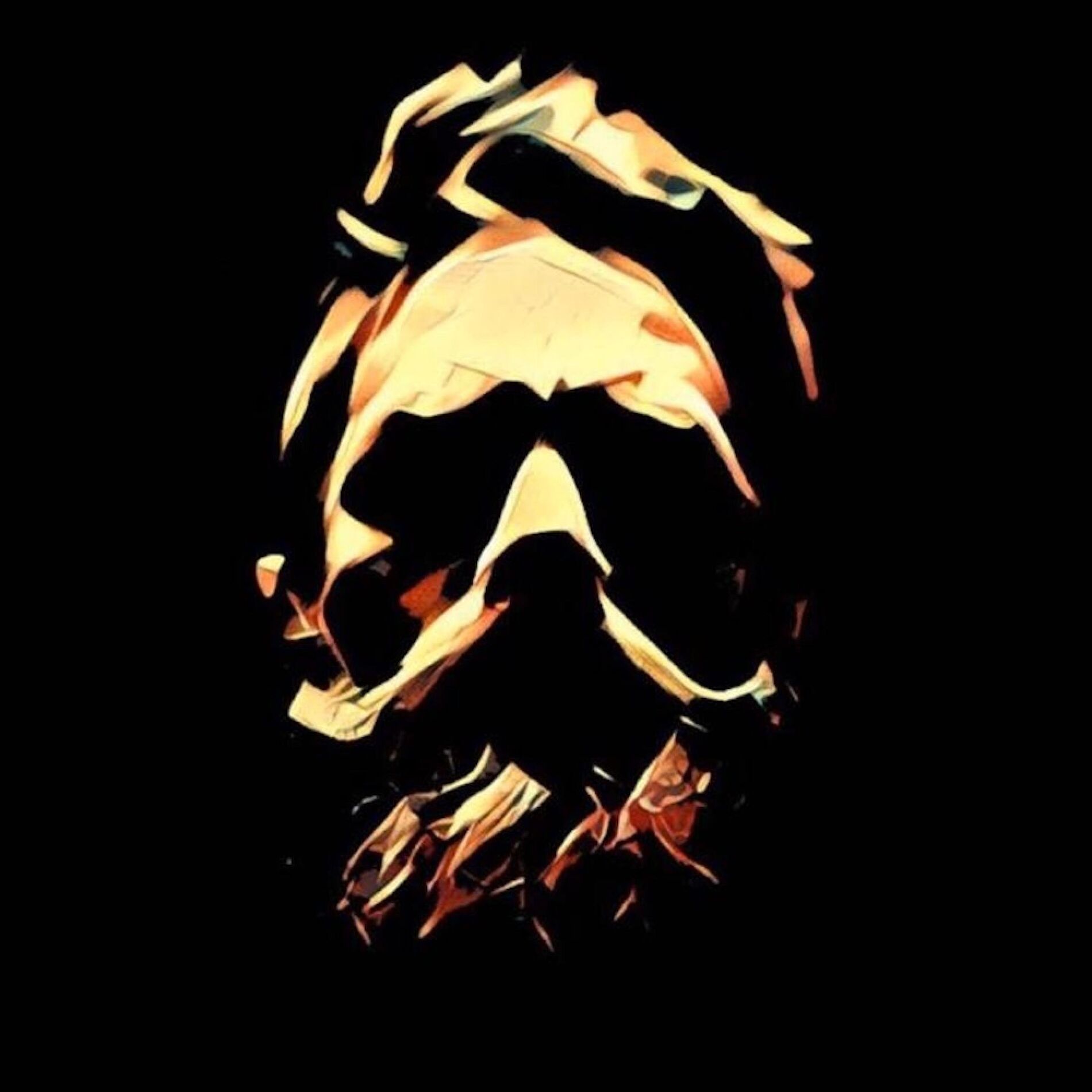 Album cover of Rojo