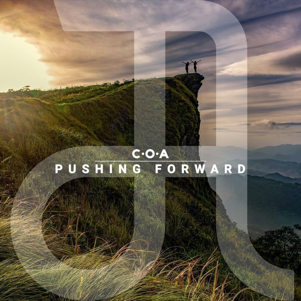 Picture of Pushing Forward