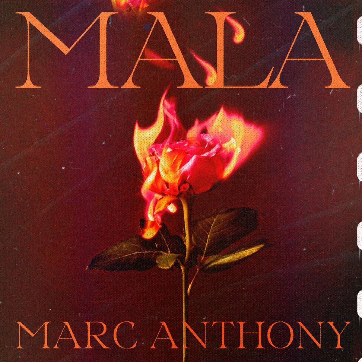 Album picture of Mala