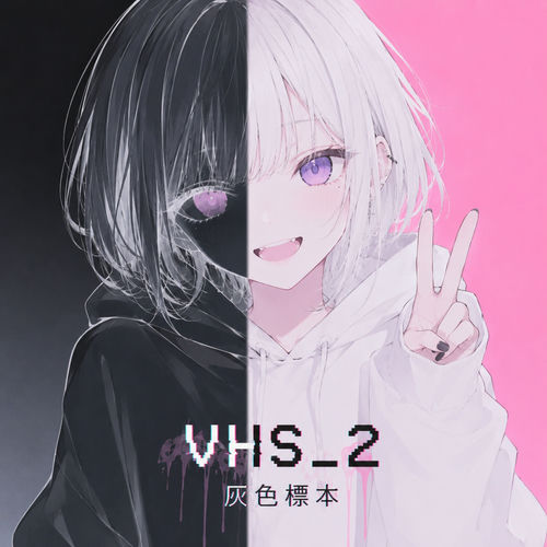VHS_2