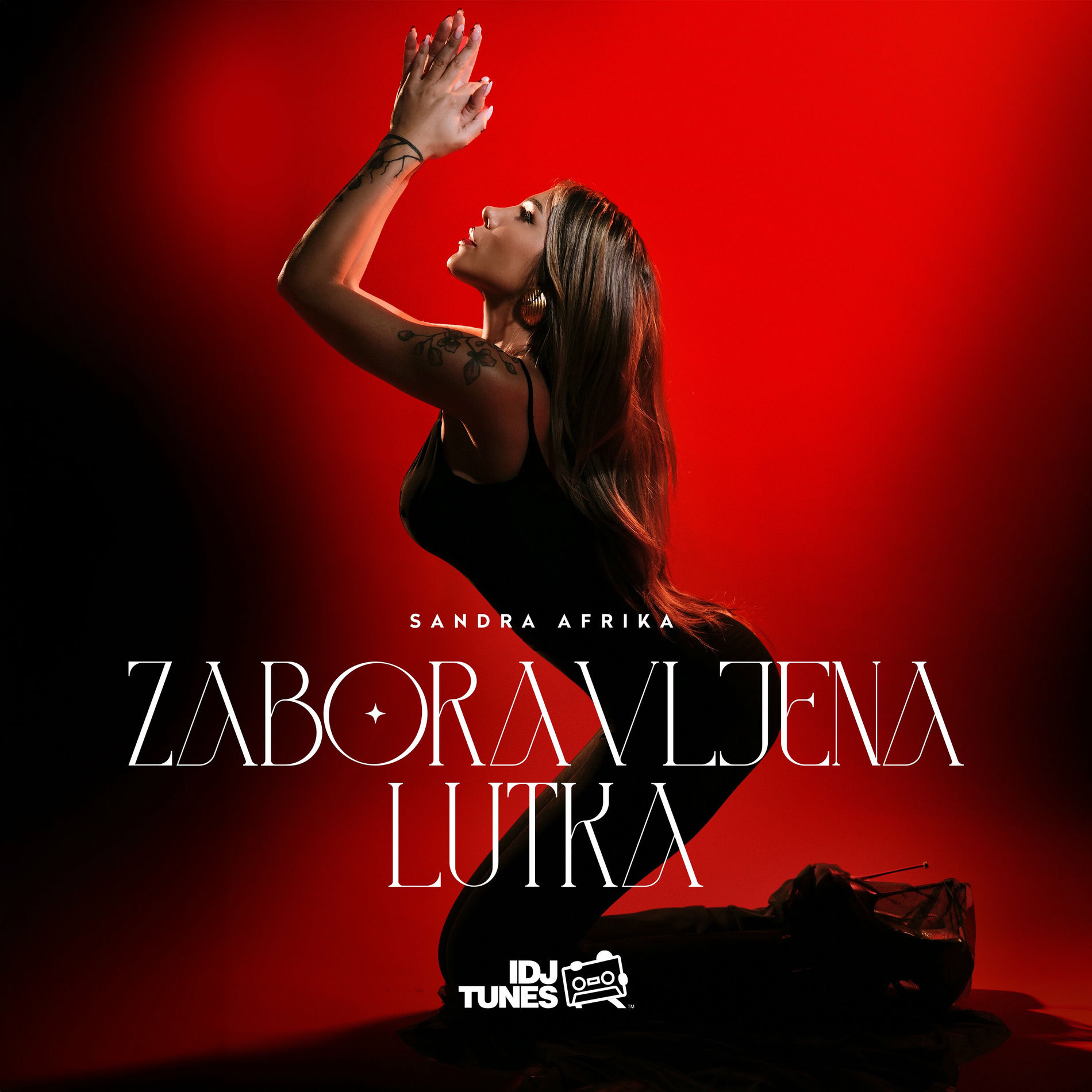 Album cover of Skote Moj