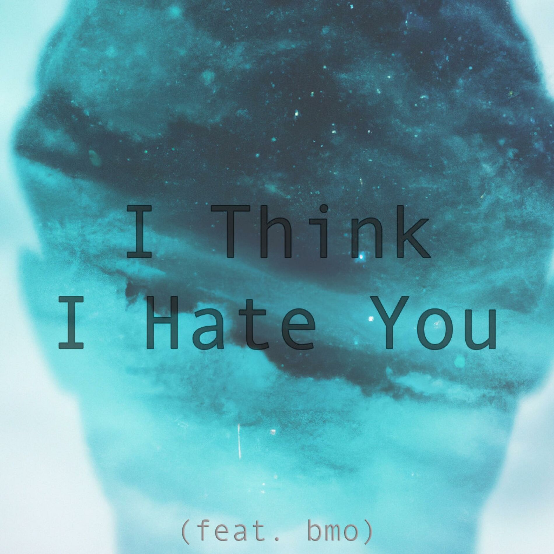 Album cover of I Think I Hate You