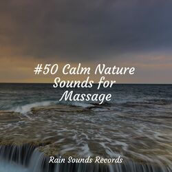 Cover of #50 Calm Nature Sounds for Massage