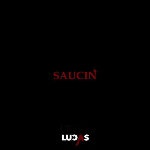 SAUCIN