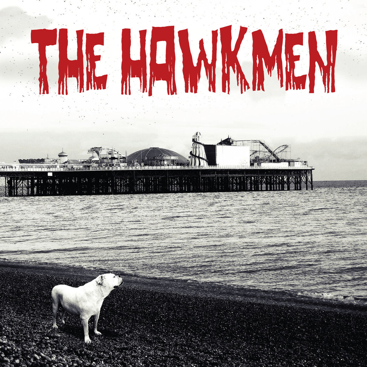 Album picture of The Hawkmen