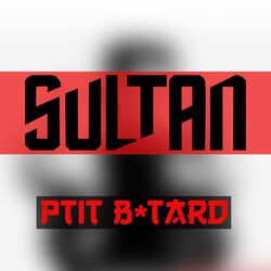Cover of Ptit batârd