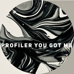 Cover of You Got Me