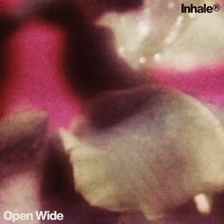 Cover of Open Wide