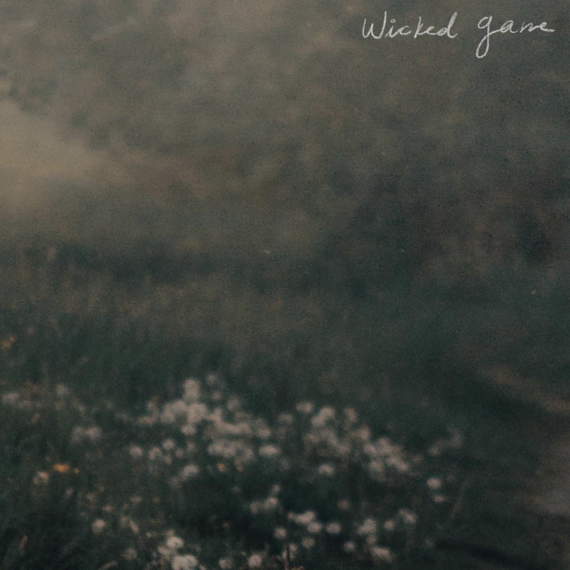 Album cover of wicked game